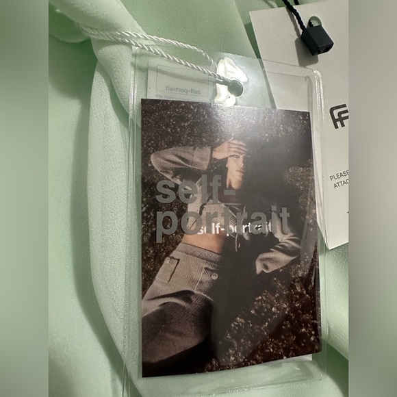 Self-Portrait Mint Chiffon and Fine Lace Pleated Dress - Picture 8 of 13